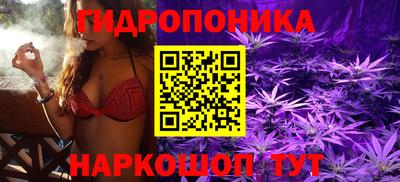 стафф Кулебаки