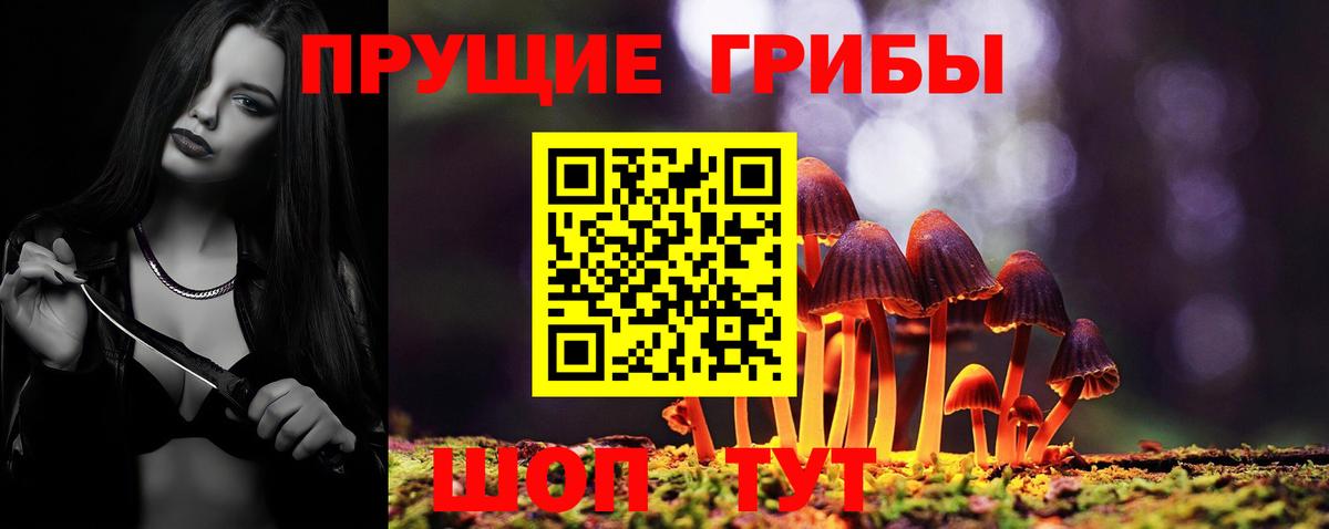 Псилоцибиновые грибы ЛСД Вязники